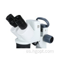 Microscopio de cabeza binocular con interruptor de atenuación de dial